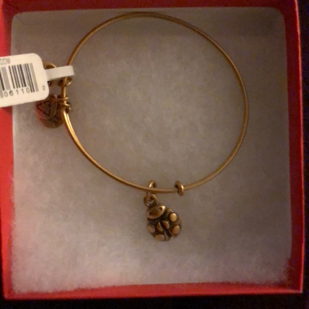 Alex and Ani bracelet